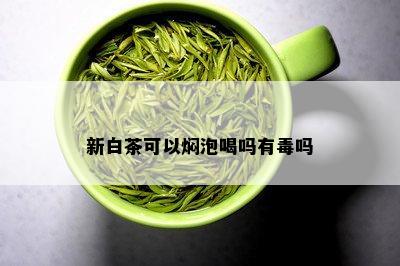 新白茶可以焖泡喝吗有吗