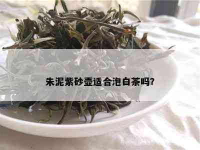 朱泥紫砂壶适合泡白茶吗？