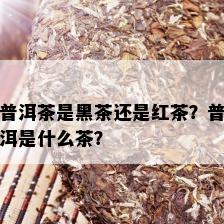 普洱茶是黑茶还是红茶？普洱是什么茶？