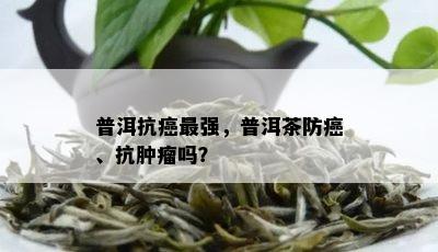 普洱抗癌最强，普洱茶防癌、抗肿瘤吗？