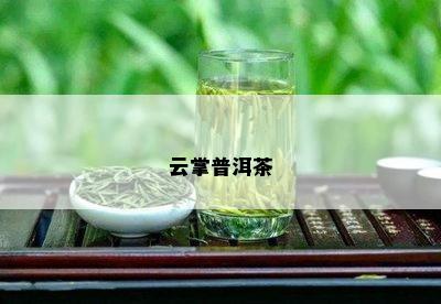 云掌普洱茶