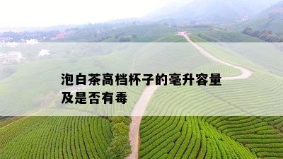 泡白茶高档杯子的毫升容量及是否有