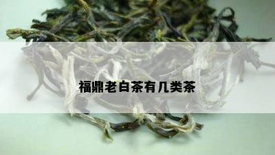 福鼎老白茶有几类茶