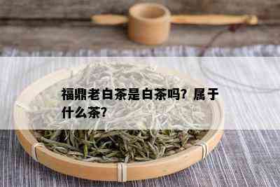 福鼎老白茶是白茶吗？属于什么茶？