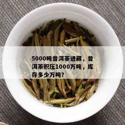 5000吨普洱茶进藏，普洱茶积压1000万吨，库存多少万吨？