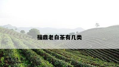 福鼎老白茶有几类