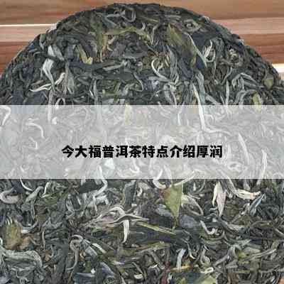 今大福普洱茶特点介绍厚润