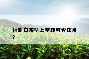 福鼎白茶早上空腹可否饮用？