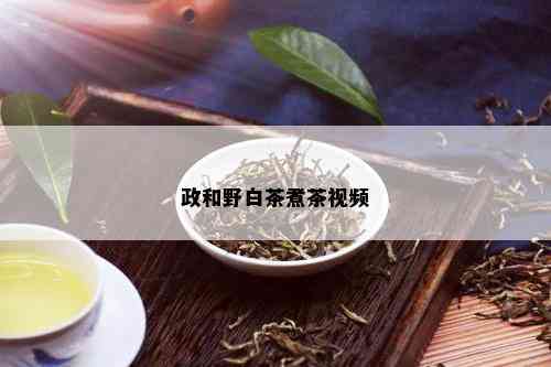 政和野白茶煮茶视频