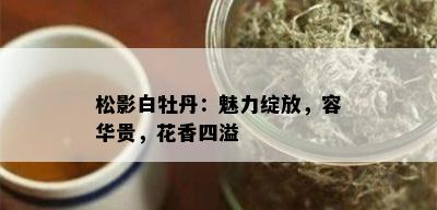 松影白牡丹：魅力绽放，容华贵，花香四溢