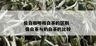 极白咖啡和白茶的区别 - 极白茶与奶白茶的比较