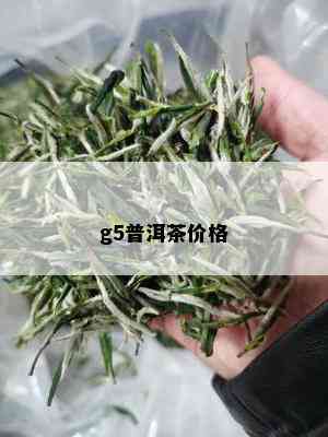 g5普洱茶价格