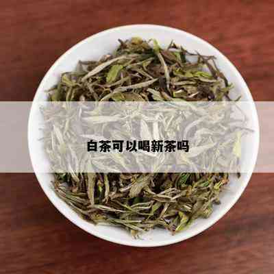 白茶可以喝新茶吗