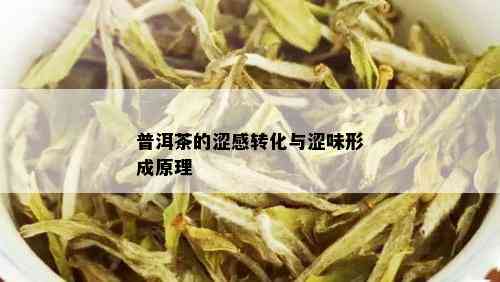 普洱茶的涩感转化与涩味形成原理