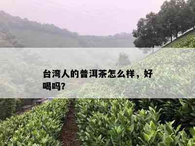 台湾人的普洱茶怎么样，好喝吗？