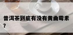 普洱茶到底有没有黄曲霉素？