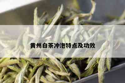 黄州白茶冲泡特点及功效