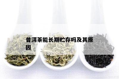 普洱茶能长期贮存吗及其原因