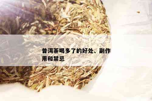 普洱茶喝多了的好处、副作用和禁忌