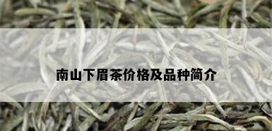 南山下眉茶价格及品种简介