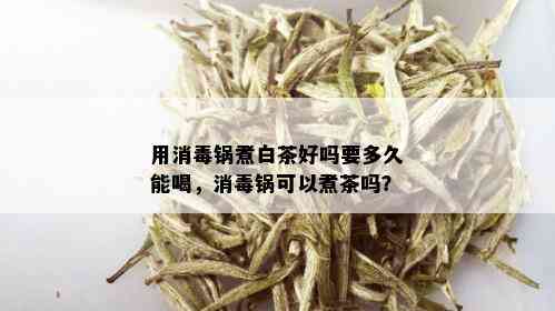 用消锅煮白茶好吗要多久能喝，消锅可以煮茶吗？