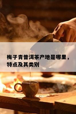 梅子青普洱茶产地是哪里，特点及其类别