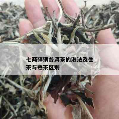 七两碎银普洱茶的泡法及生茶与熟茶区别