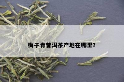 梅子青普洱茶产地在哪里？