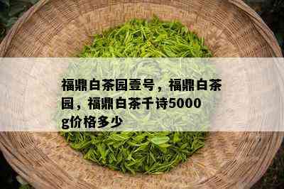 福鼎白茶园壹号，福鼎白茶园，福鼎白茶千诗5000g价格多少