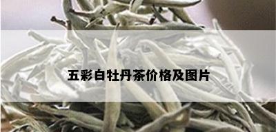 五彩白牡丹茶价格及图片