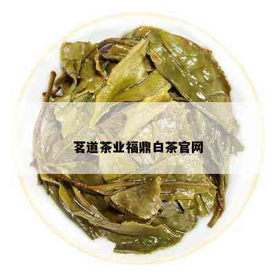 茗道茶业福鼎白茶官网