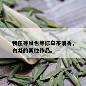 我在等风也等你白茶清香，白凝的其他作品。