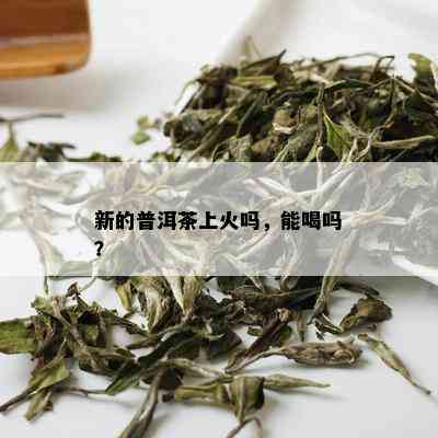 新的普洱茶上火吗，能喝吗？