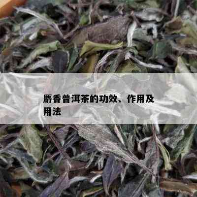 麝香普洱茶的功效、作用及用法