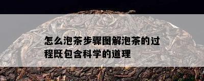 怎么泡茶步骤图解泡茶的过程既包含科学的道理