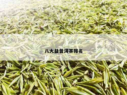 八大益普洱茶排名