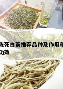 陈死白茶推荐品种及作用和功效