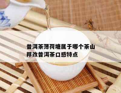 普洱茶薄荷塘属于哪个茶山邦改普洱茶口感特点