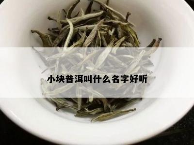 小块普洱叫什么名字好听