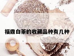 福鼎白茶的收藏品种有几种