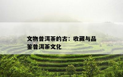 文物普洱茶的古：收藏与品鉴普洱茶文化