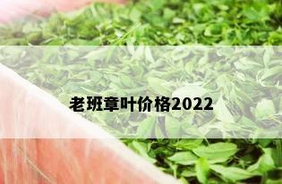 老班章叶价格2022