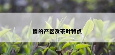 眉的产区及茶叶特点