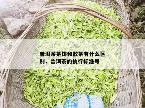 普洱茶茶饼和散茶有什么区别，普洱茶的执行标准号