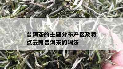 普洱茶的主要分布产区及特点云南普洱茶的喝法