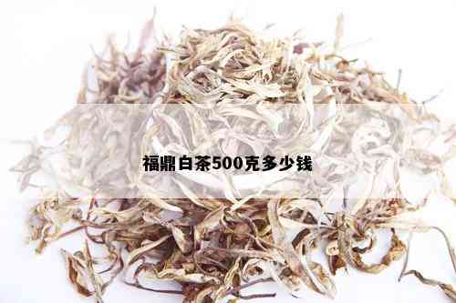 福鼎白茶500克多少钱