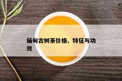 缅甸古树茶价格、特征与功效