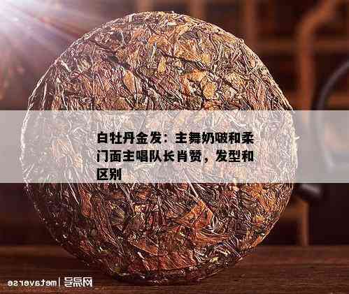 白牡丹金发：主舞奶啵和柔门面主唱队长肖赞，发型和区别