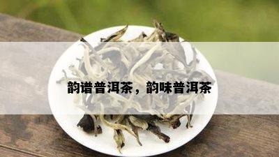 韵谱普洱茶，韵味普洱茶