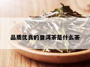 品质优良的普洱茶是什么茶